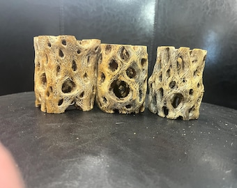 3 X 3" Cholla Cactus Skeleton -Air Plant Holder. Set of three.