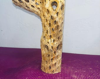 8.5 inchCholla Cactus for Aquarium/Terrariums.