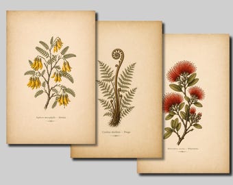 May include: Three botanical prints featuring vintage illustrations of flora. The prints showcase detailed drawings of a yellow-flowered tree, a fern, and red-flowered branches. Each print has botanical names and is set against a beige background.