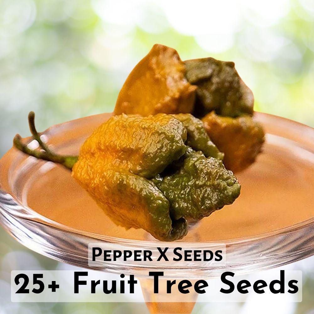 25+ Pepper X Seeds | World’s Hottest Pepper for Extreme Heat Lovers | Grow Your Own Super-Hot Pepper