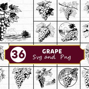 May include: A collection of 36 black and white grape illustrations in various styles. Some depict grapes on vines, others with landscape backgrounds. The text "GRAPE Svg and Png" is included.