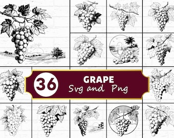 Grape SVG PNG Bundle, Fruit Silhouette Clipart, Wine Kitchen Cricut Files, Vineyard Vector Art