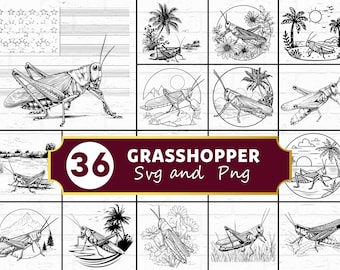 Paquete SVG de silueta de saltamontes / Insecto naturaleza Saltamontes SVG PNG Cricut