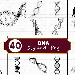 Puede incluir: Una colección de 40 ilustraciones de hélices de ADN en blanco y negro con varios estilos, incluyendo líneas sólidas, patrones de puntos y siluetas. Un banner central color granate muestra el texto 40 DNA Svg and Png.