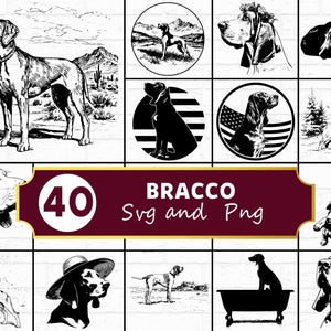 Może przedstawiać: Kolekcja 40 obrazów SVG i PNG psów Bracco w czerni i bieli. Obrazy przedstawiają różne pozy i otoczenia, w tym psy w krajobrazach, portretach i sylwetkach. Wyświetlany jest tekst "40 Bracco Svg and Png".