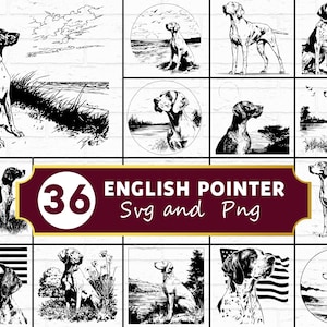 May include: A set of 36 black and white English Pointer dog illustrations in SVG and PNG formats. The images show the dogs in different poses and scenes, including landscapes and portraits. The text "ENGLISH POINTER Svg and Png" is included.