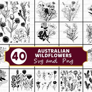 May include: A selection of 40 Australian wildflower designs in monochrome. The image showcases diverse floral illustrations, including detailed drawings of blooms, leaves, and stems. The text "Australian Wildflowers SVG and Png" is displayed on a burgundy banner.