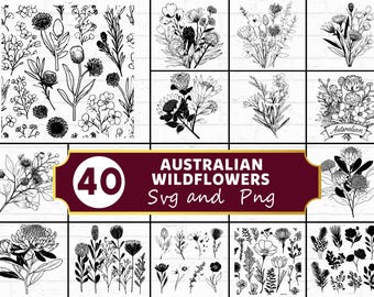 Australische wilde bloemen SVG, inheemse flora silhouet png, waratah en Banksia clipart, botanische wattle vector