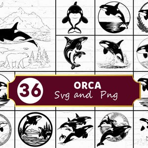 May include: A collection of 36 Orca SVG and PNG designs in black and white. The images feature various illustrations of orcas, including depictions of orcas in the ocean, jumping, and with their young. The designs are suitable for digital art projects.