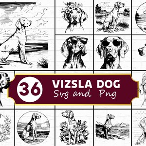 May include: A collection of 36 Vizsla dog illustrations in SVG and PNG formats. The black and white drawings depict Vizslas in various poses, including wearing sunglasses, floral crowns, and sitting in landscapes. The image includes the text "36 Vizsla Dog Svg and Png".