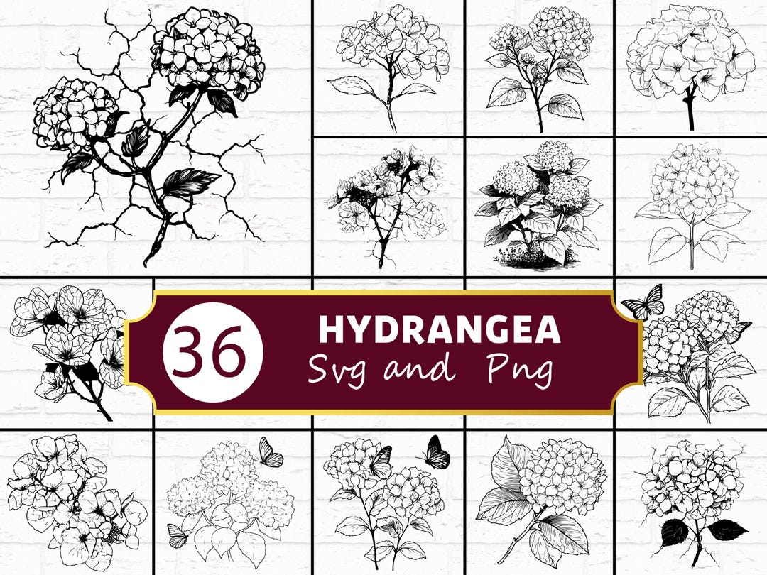 Hydrangea Flower Silhouette SVG Bundle | Floral Botanical SVG PNG for ...