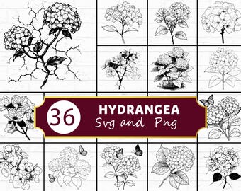 Paquete SVG de silueta de flor de hortensia / SVG PNG floral botánico para Cricut