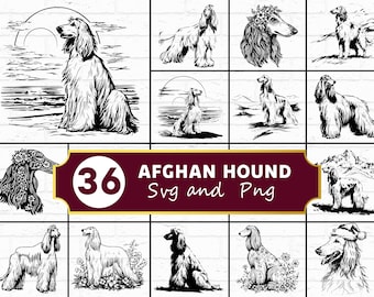 Paquete SVG de silueta de lebrel afgano / Elegante perro de pelo largo SVG PNG para Cricut