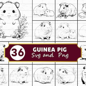 May include: A collection of 36 guinea pig SVG and PNG images in black and white. The images include various poses of guinea pigs, some with floral accents. The text "GUINEA PIG" and "36" are also present.