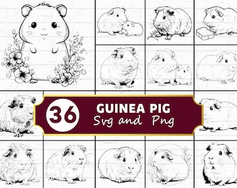 Cavia SVG-bundel, cavy silhouet png, zak huisdier clipart, pluizig knaagdier vector, Cricut