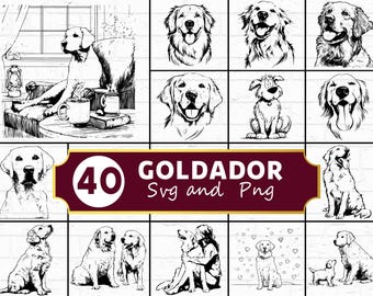 Goldador SVG, Golden Retriever Lab Mix Silhouette PNG, Smart Designer Hybrid Breed Clipart, Loyal