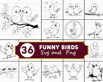 Grappige vogels SVG PNG-bundel, vogel silhouet clipart, cartoon dieren Cricut gesneden bestanden
