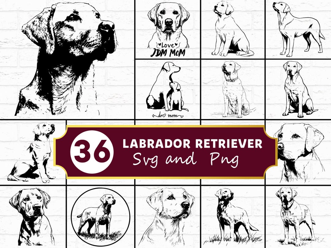 Labrador Retriever SVG Bundle, Lab Dog Silhouette PNG, Gun Dog Clipart ...
