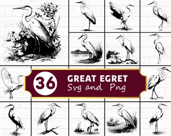 SVG-bundel zilverreiger, reigervogelsilhouet png, wetland Wildlife clipart, kusthoenders vector