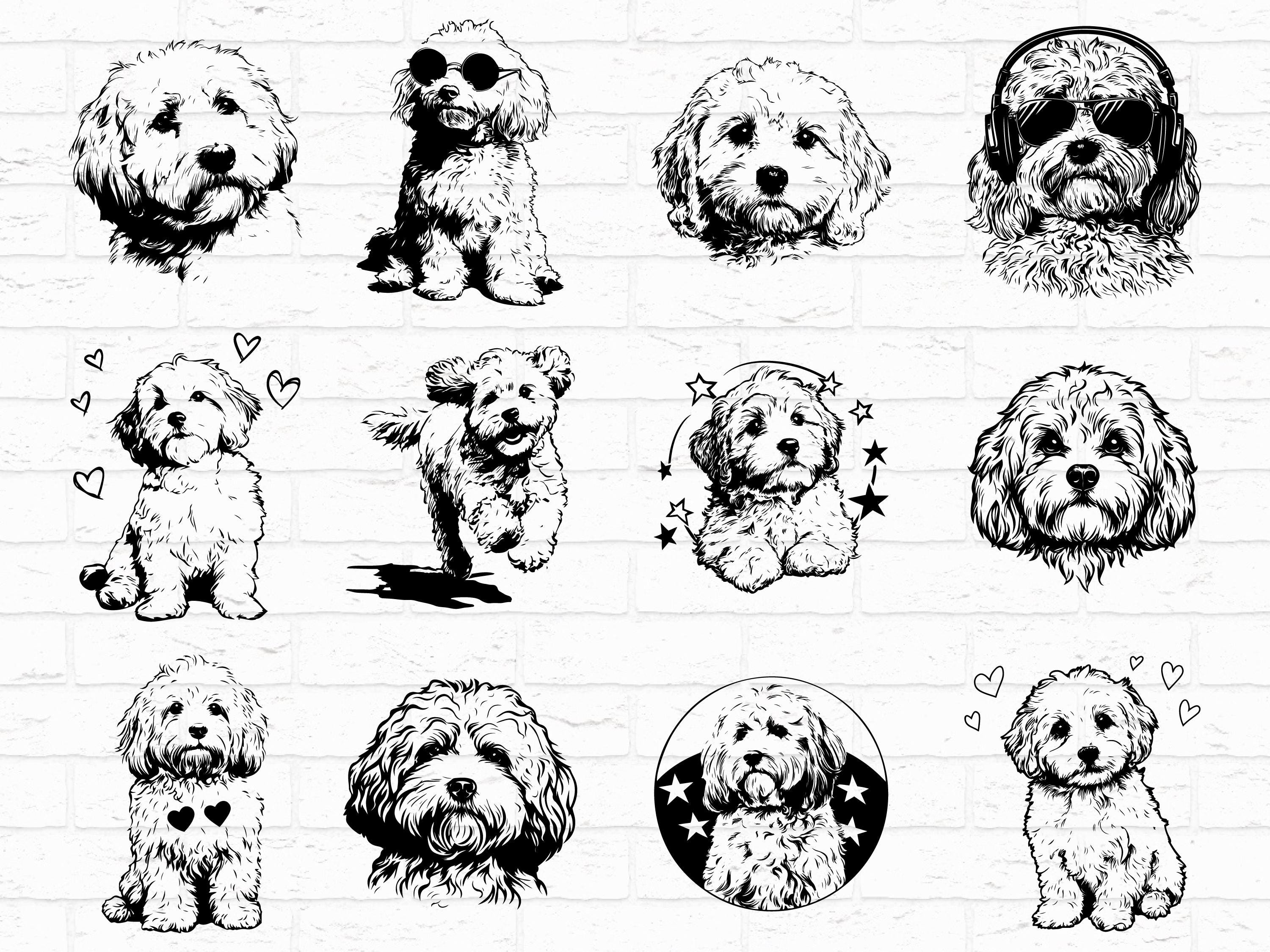 Cavapoo SVG PNG Bundle, Dog Silhouette Clipart, Puppy Pet Cricut Files ...
