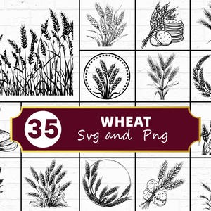 May include: A collection of black and white wheat illustrations. The image includes various depictions of wheat stalks, bundles, and wreaths. Text on a maroon banner reads "35 WHEAT Svg and Png".