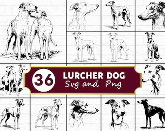 Lurcher Dog SVG-bundel, windhond silhouet PNG, redding huisdier clipart, Greyhound Cross Vector, hond