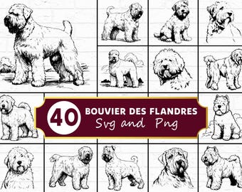 Bouvier des Flandres SVG, ruw gecoate hoedende hond silhouet PNG, krachtig werkend ras clipart, Cricut