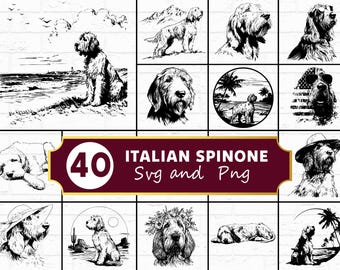 Italian Spinone SVG, Wirehaired Italian Pointer Silhouette PNG, Loyal Rugged Gundog Clipart, Sweet Bearded