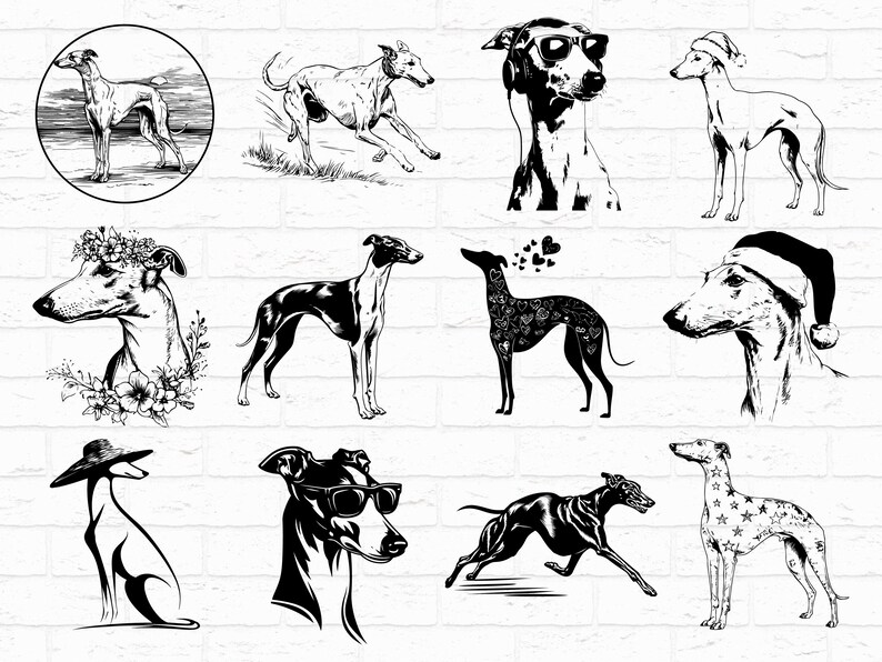 Greyhound Design Greyhound SVG PNG Bundle, Greyhound Dog Silhouette Clipart, Pet Lover ...