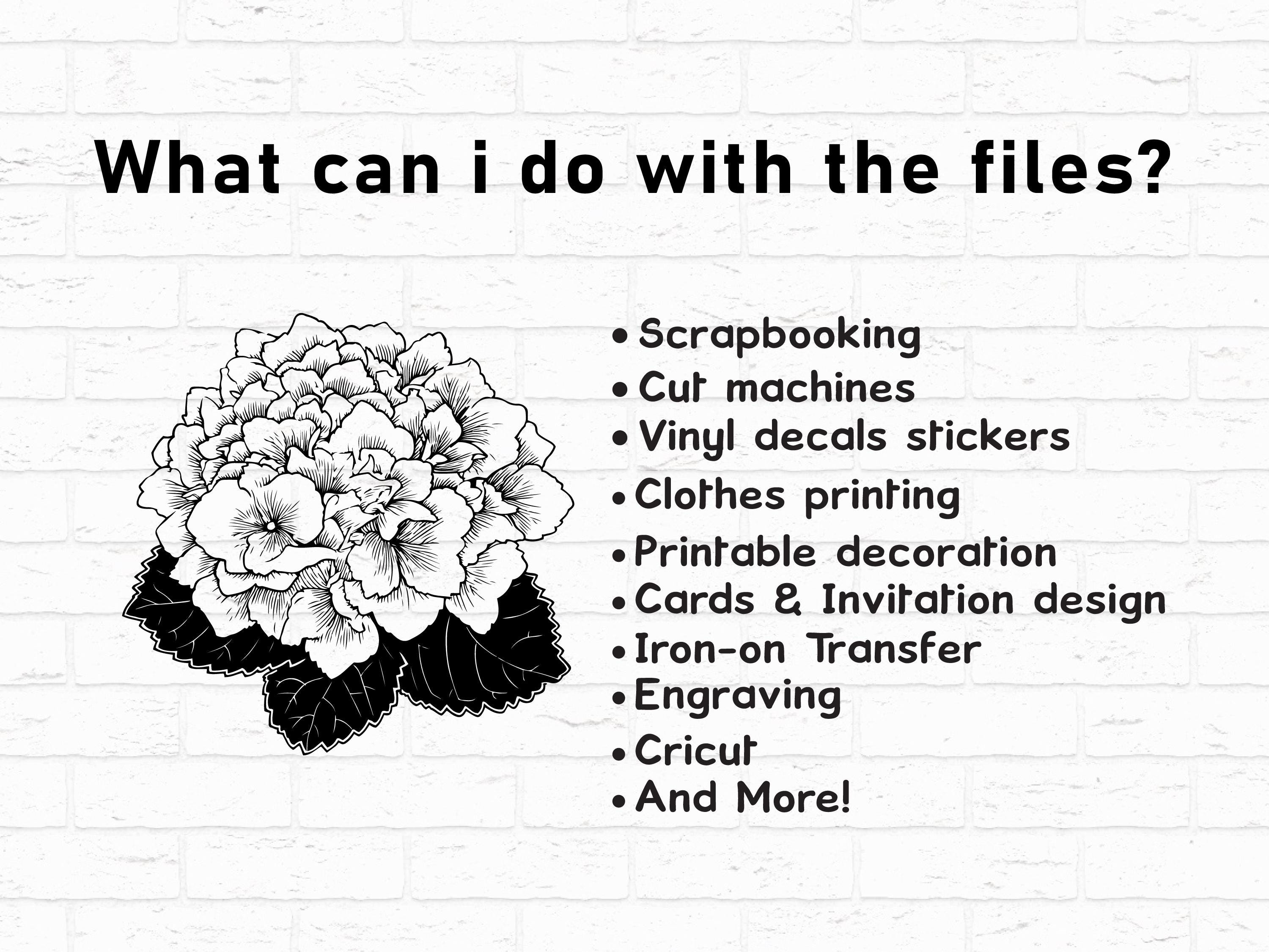 Hydrangea Flower Silhouette SVG Bundle | Floral Botanical SVG PNG for ...