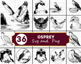 Paquete SVG de silueta de águila pescadora / Águila pescadora PNG para Cricut