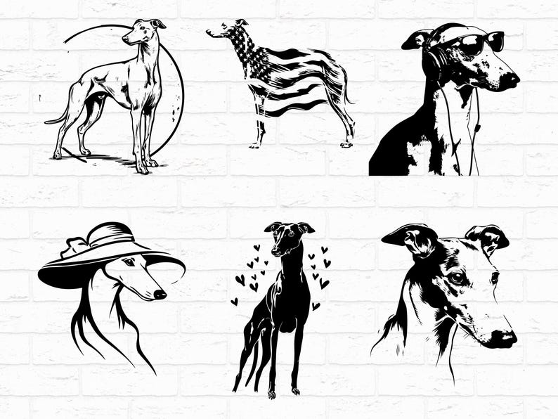 Greyhound Design Greyhound SVG PNG Bundle, Greyhound Dog Silhouette Clipart, Pet Lover ...