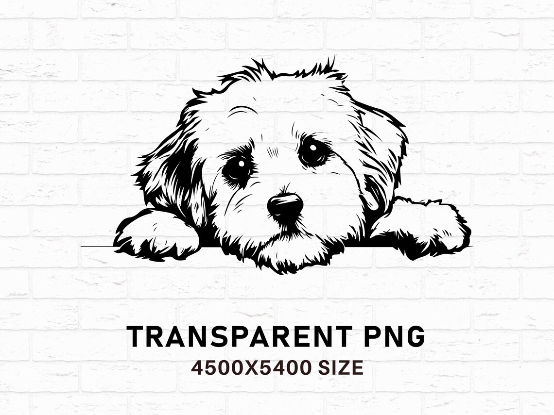 Cavapoo SVG PNG Bundle, Dog Silhouette Clipart, Puppy Pet Cricut Files ...