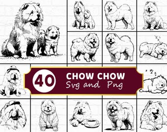 Chow Chow SVG, pluizige leeuw hond silhouet png, majestueuze oosterse ras clipart, loyale voogd