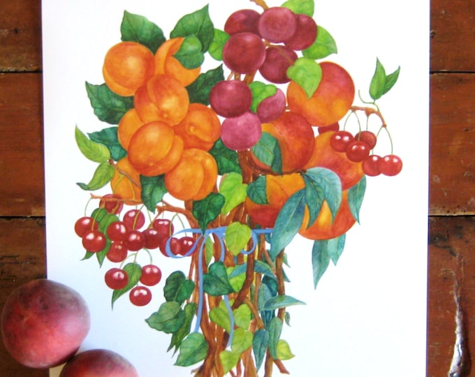 Peaches, Apricots and Plums Bouquet Watercolor Giclee Print