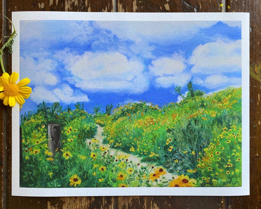 Back Bay Walking Trail Giclee Print Etsy