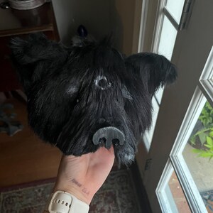 Black grizzle bear mask