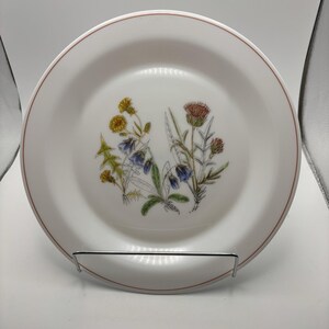 Arcopal Plates Pl7" Side  "Fleur D'ete"  White Opal Glass France Set Of 6