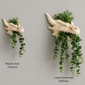 Dragon skull wall planter size comparison showing 170mm popular size and 250mm large planter with trailing green vines on neutral wall