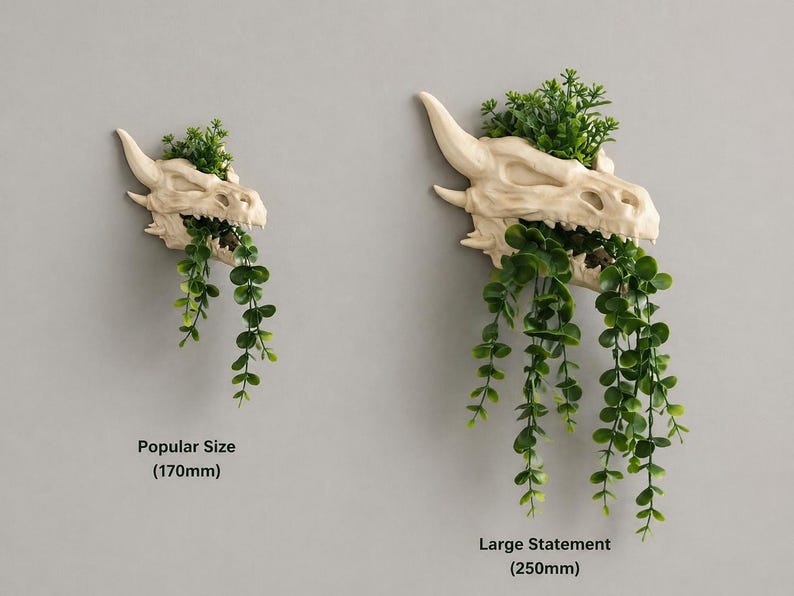 Dragon skull wall planter size comparison showing 170mm popular size and 250mm large planter with trailing green vines on neutral wall