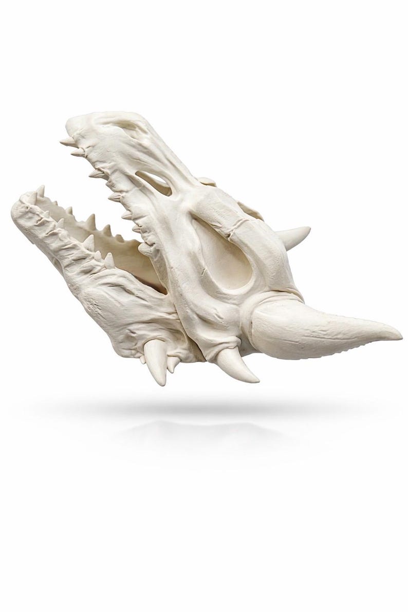 side view of dragon skull planter