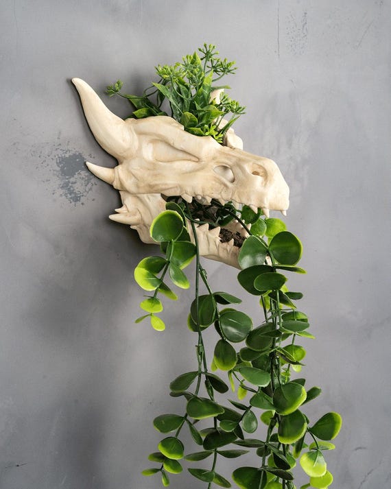 Dragon Skull Wall Planter – Gothic Fantasy Decor | DnD Themed Faux Fossil Plant Holder