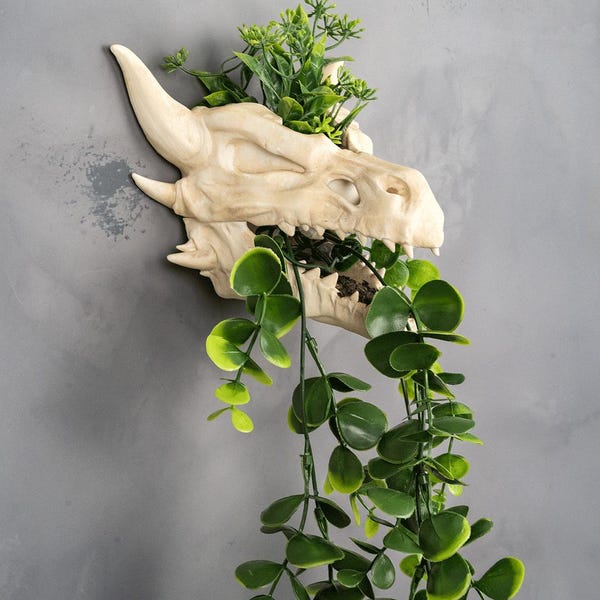 Dragon Skull Wall Planter – Gothic Fantasy Decor | DnD Themed Faux Fossil Plant Holder