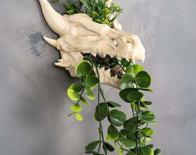 Dragon Skull Wall Planter – Gothic Fantasy Decor | DnD Themed Faux Fossil Plant Holder