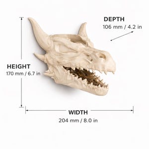 Decorative horned skull sculpture shown with size measurements, including height, width, and depth, displayed in millimeters and inches on a white background.