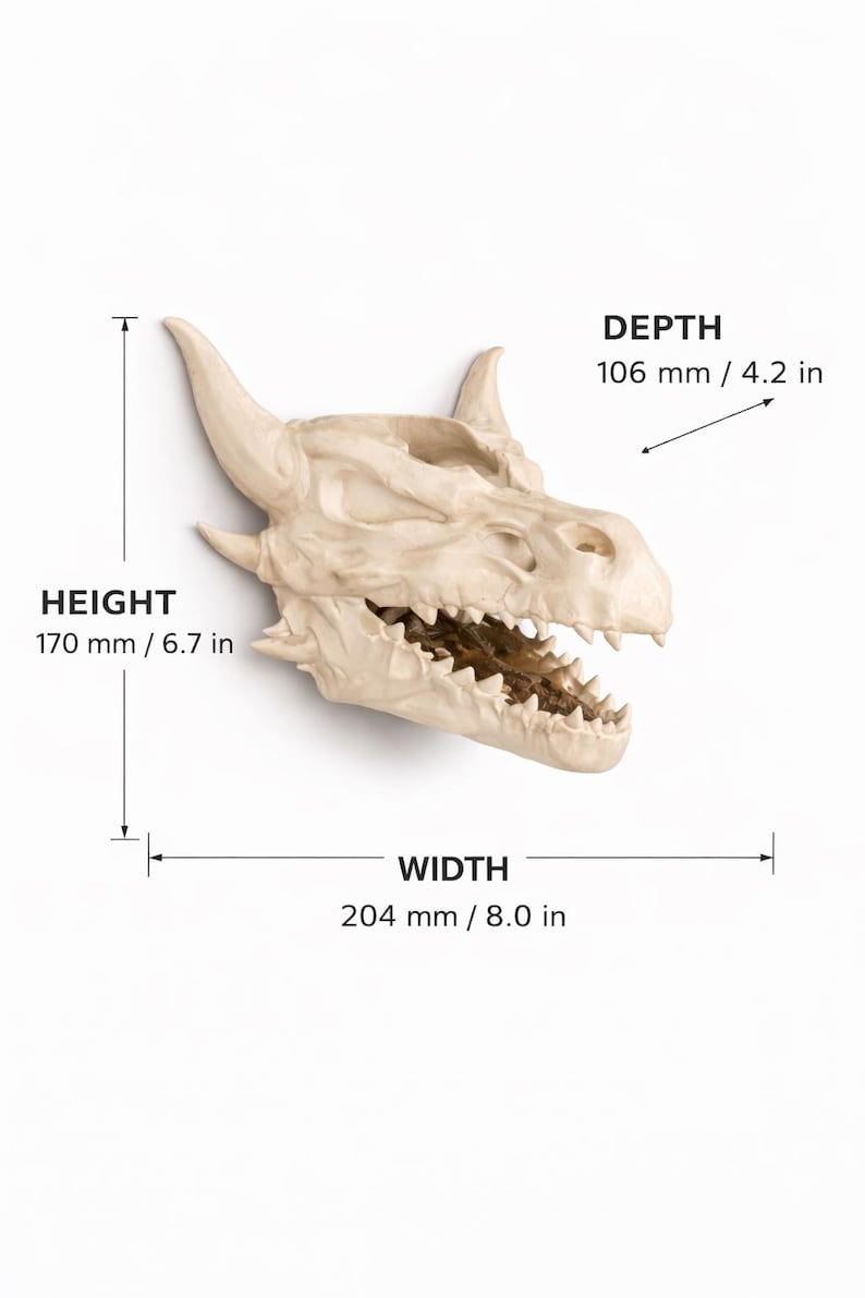 Decorative horned skull sculpture shown with size measurements, including height, width, and depth, displayed in millimeters and inches on a white background.