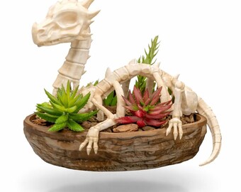 Skeleton Dragon Planter – Gothic Fantasy Baby Dragon Pot for Succulents