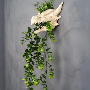 Front view of gothic dragon skull with plants inside.