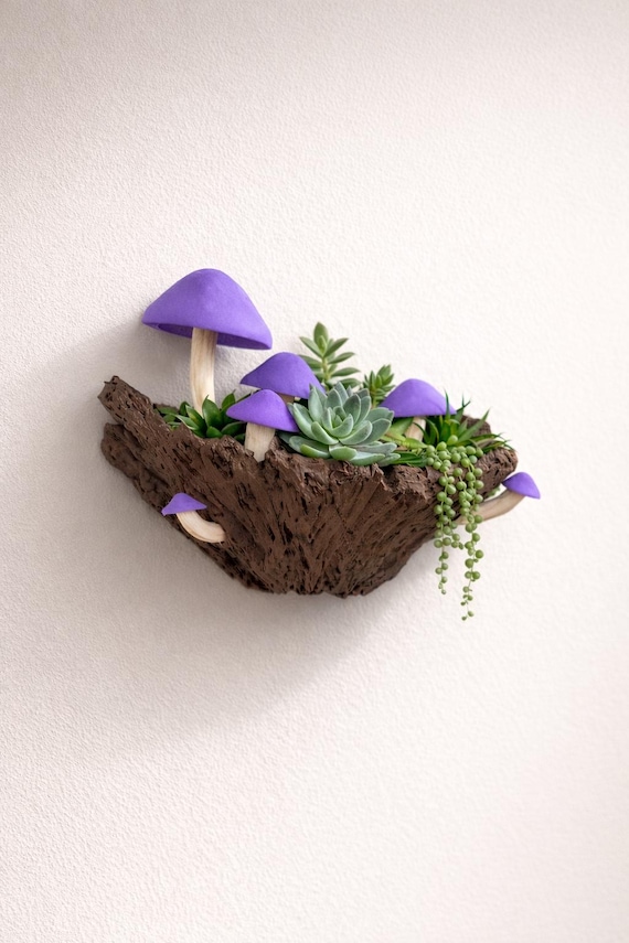 Mushroom Wall Planter | Fantasy Forest Decor | Whimsical Hanging Planter  for Succulents or Air Plants - Etsy Israel
