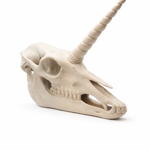 Unicorn skull fantasy decor statue photographed from a different display angle
